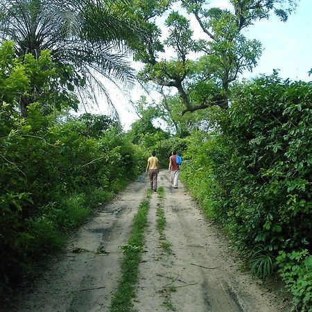 Kansala Ta Toto Kafountine Ngoại thất bức ảnh