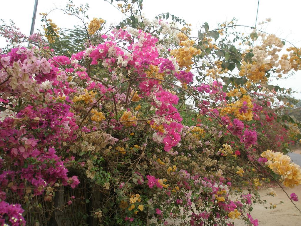Kansala Ta Toto Kafountine Ngoại thất bức ảnh